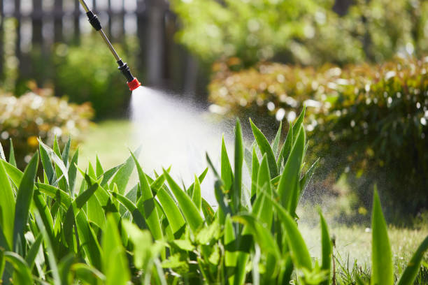 24/7 Emergency Cockroach Control experts in El Reno, OK