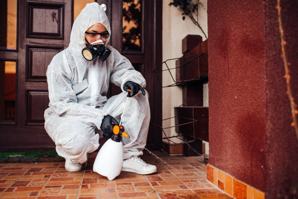 Reliable Cockroach Control contractor in El Reno, OK by Nex Pest Control