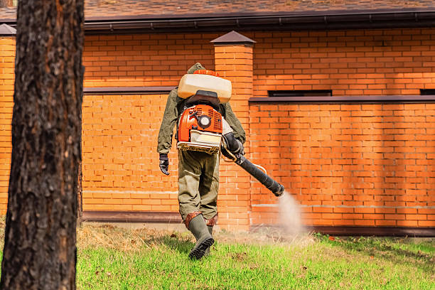 Trusted Mosquito Control service in El Reno, OK - Nex Pest Control
